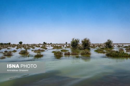 سهم ۲۴ درصدی آبخیزداری از کل حوزه های سیل خیز کشور